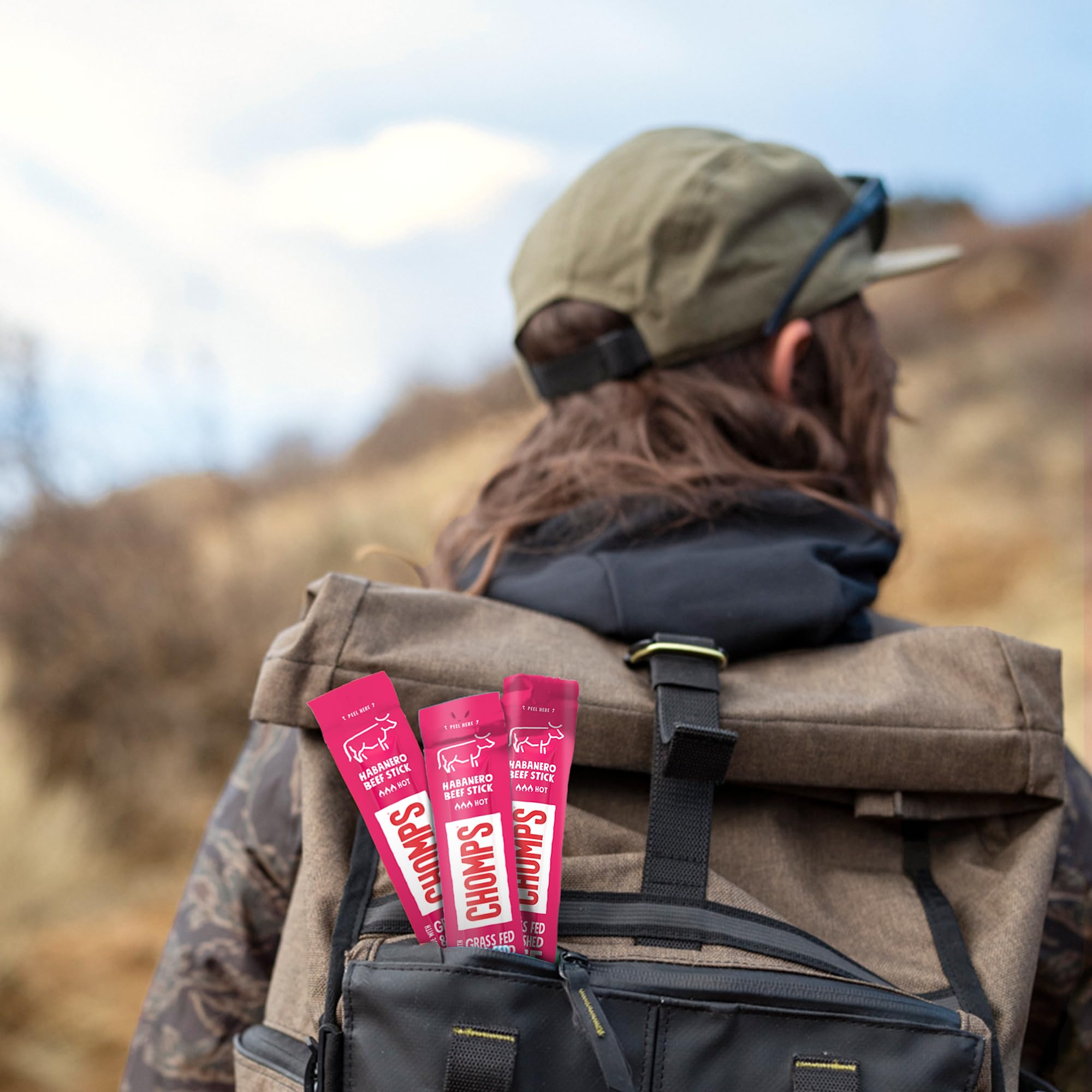 Chomps beef jerky in a lunchbox for convenient daytime snacking.