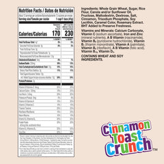 Close-up of Crispy Cinnamon Toast Crunch squares showing CINNADUST crunch for a tasty bite