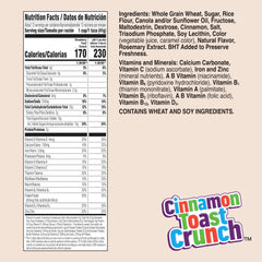 Cinnamon Toast Crunch crispy squares close-up highlight texture ideal for snacking.