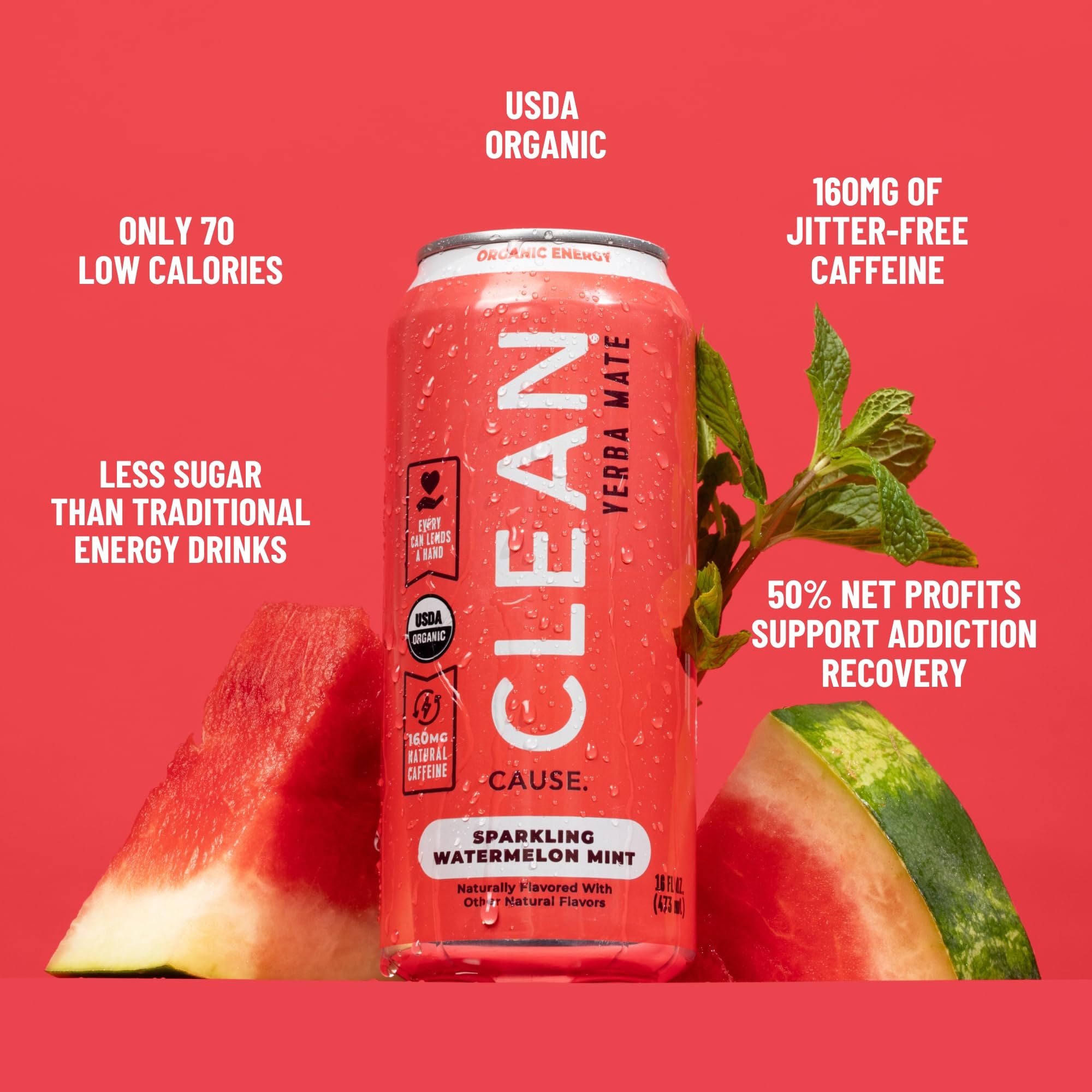 CLEAN CAUSE 12-pack case on shelf emphasizes value and portability.