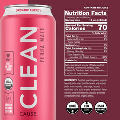 CLEAN CAUSE yerba mate pour into glass highlights ready-to-drink energy option.