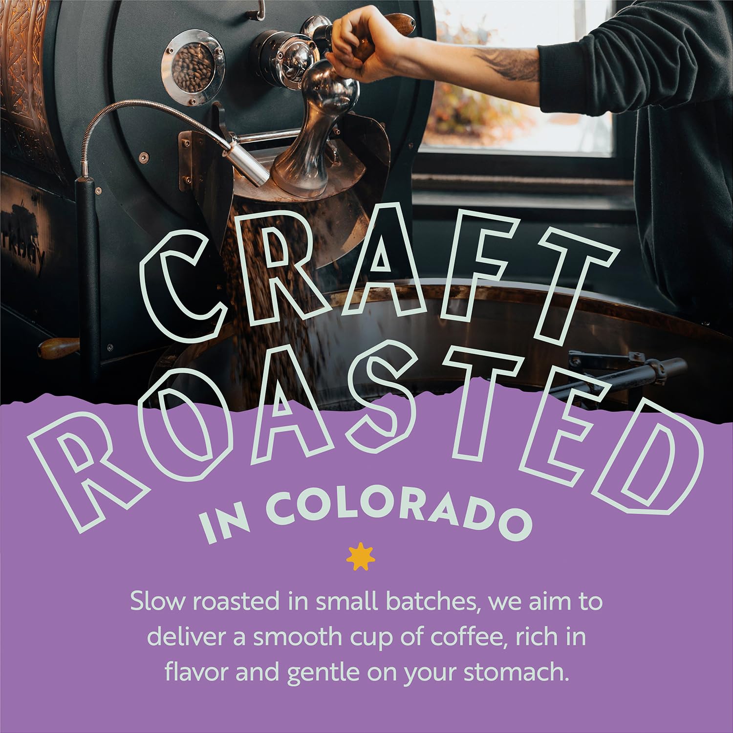 Clean Coffee Co. brew-ready French press show for versatile prep.