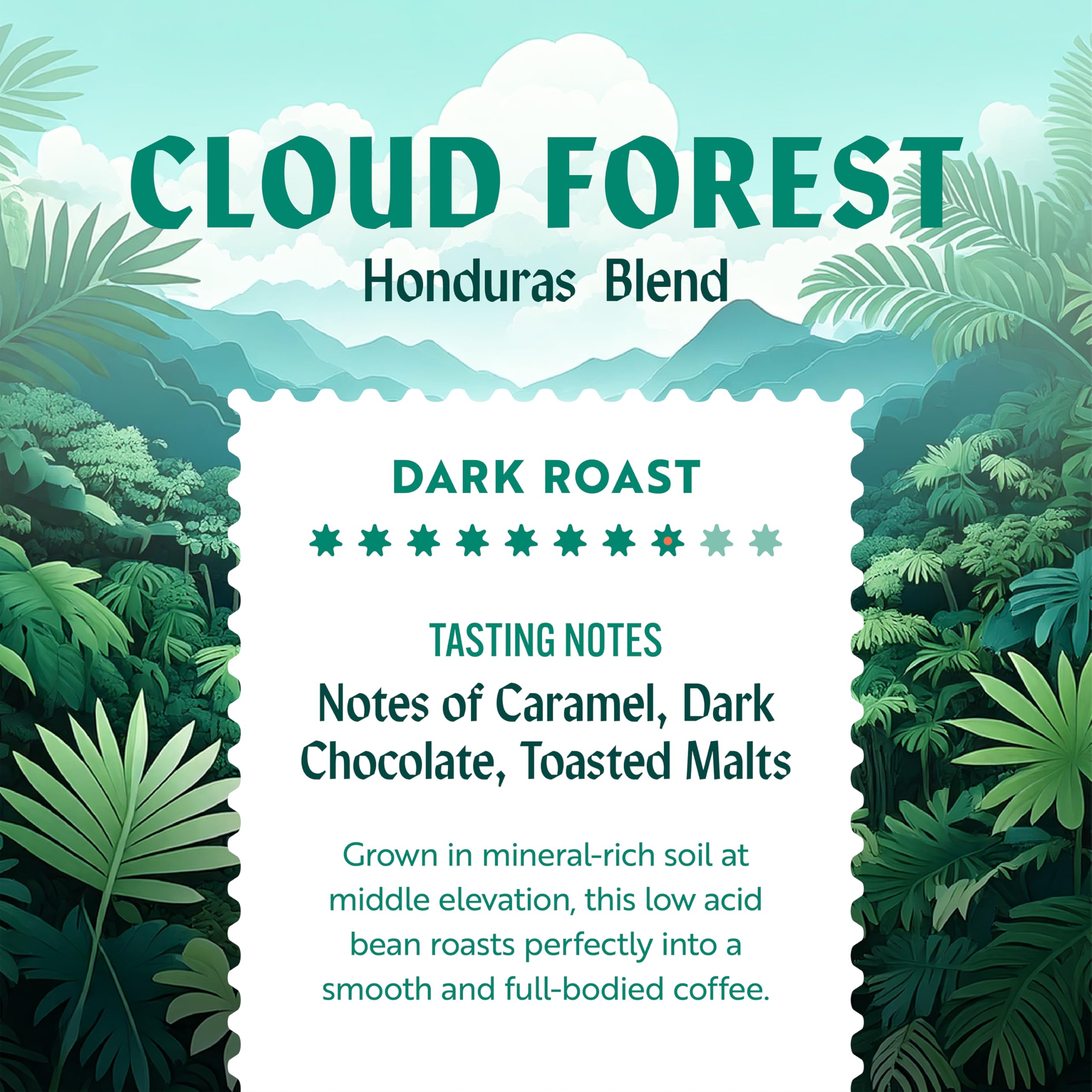 Clean Coffee Co. pour-over setup showcases precise extraction.