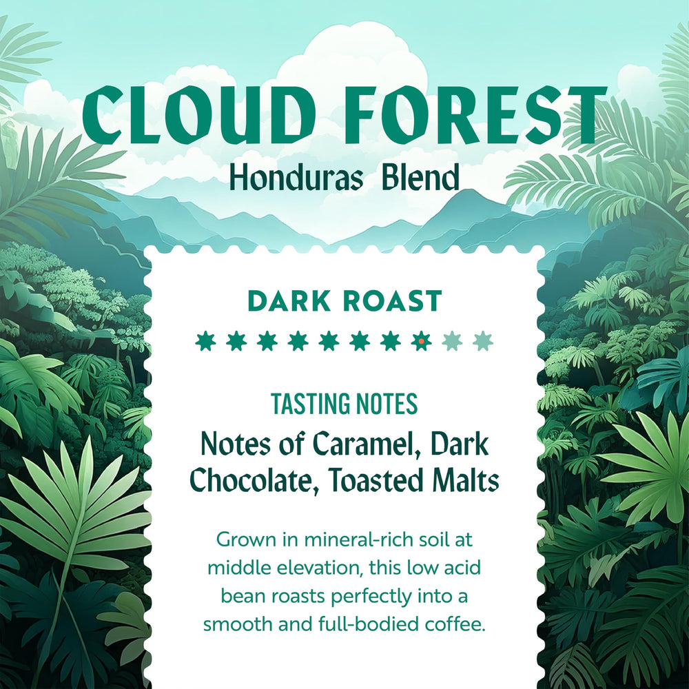 Clean Coffee Co. pour-over setup showcases precise extraction.