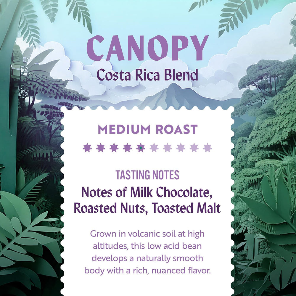 Clean Coffee Co. toasted malt scent in cup suggests robust finish.