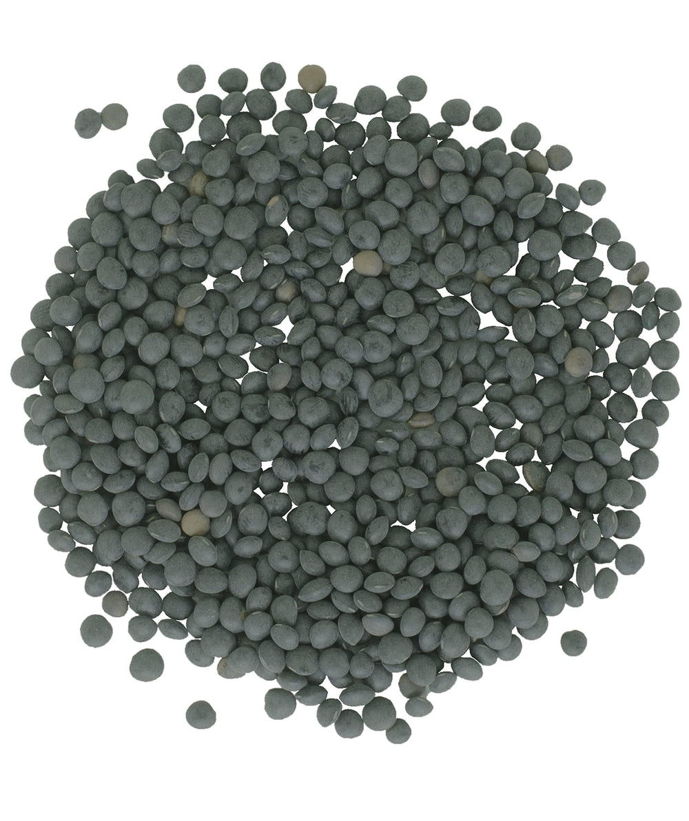 CLEAR CREEK lentils being rinsed and prepared to cook in 15–20 minutes.