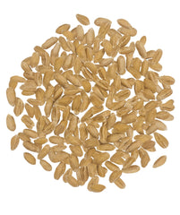 CLEAR CREEK Spelt Berries dry grains ready for soaking and cooking