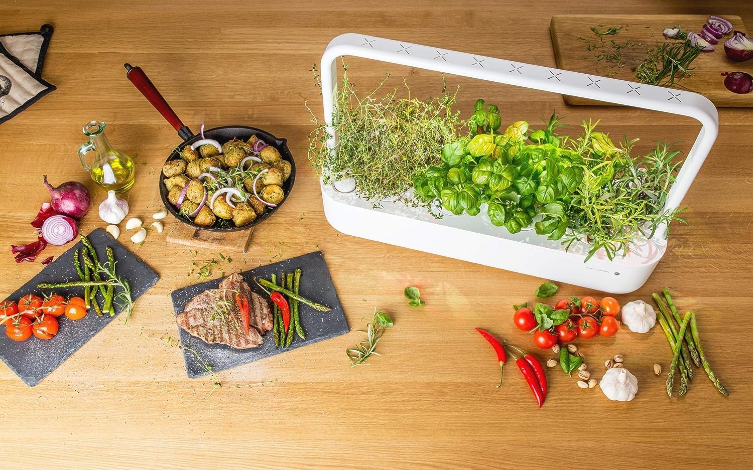 Click and Grow Thyme Pod harvest ready leaves for cooking and garnishing