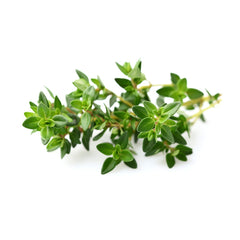Click and Grow Thyme Pod in a smart garden for effortless indoor herb cultivation