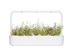 Click and Grow Thyme Pod sprouting timeline showing quick germination