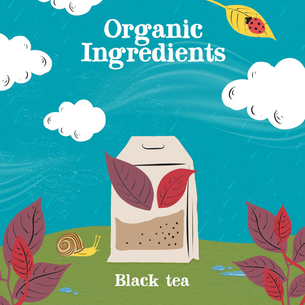 Clipper Tea 80 unbleached bags pack highlighting sustainable, eco-friendly tea experience.