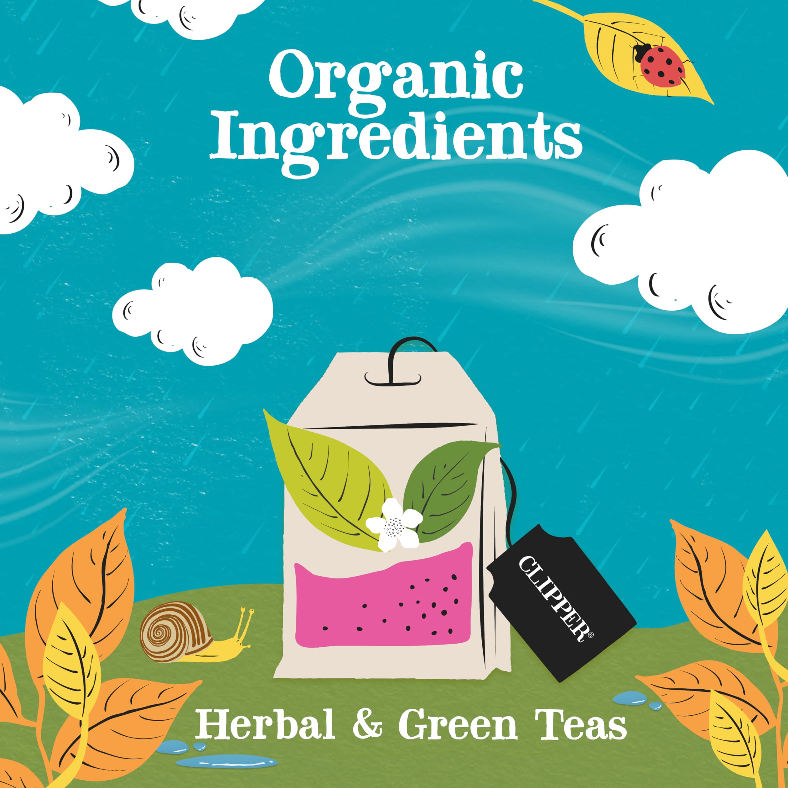 Clipper Tea gift box open with unbleached tea bags ready to brew.