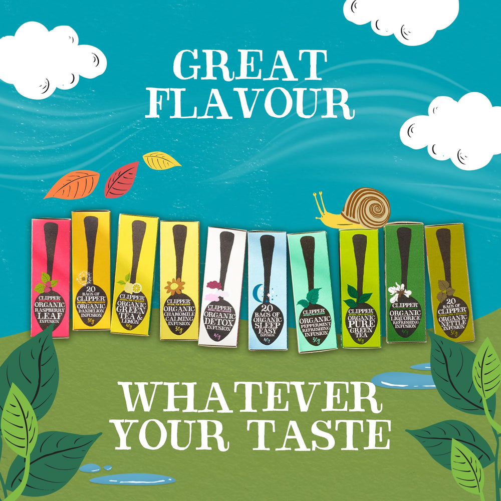 Clipper Tea Green Tea and Lemon biodegradable-packaging reflects planet-friendly practices.