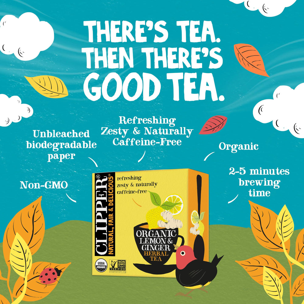 Clipper Tea Lemon & Ginger aroma in a cup highlights refreshing citrus.