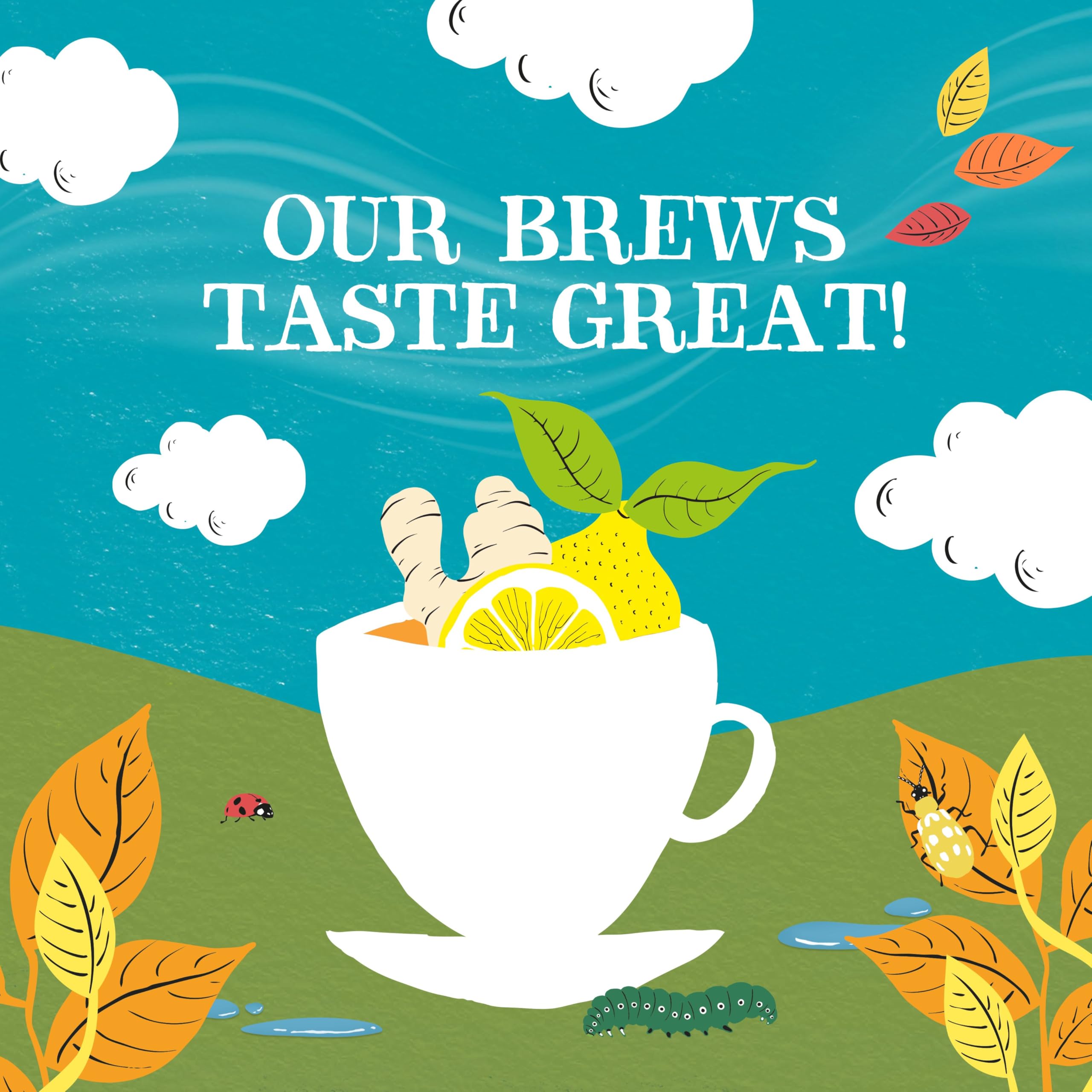 Clipper Tea Lemon & Ginger packaging preserves freshness and flavor.