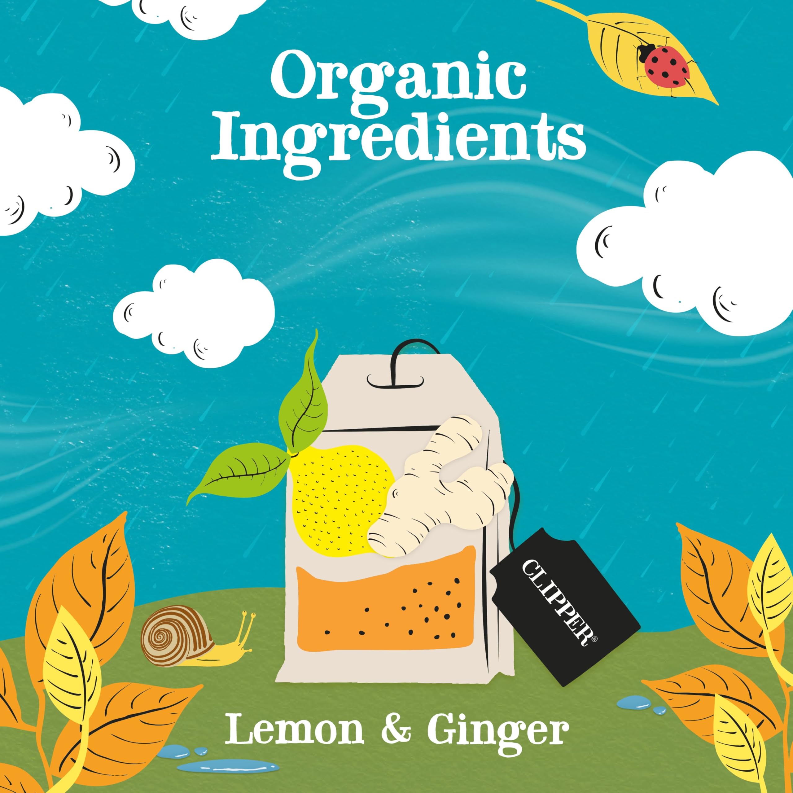 Hot or iced brew of Clipper Tea Lemon & Ginger ready to enjoy.