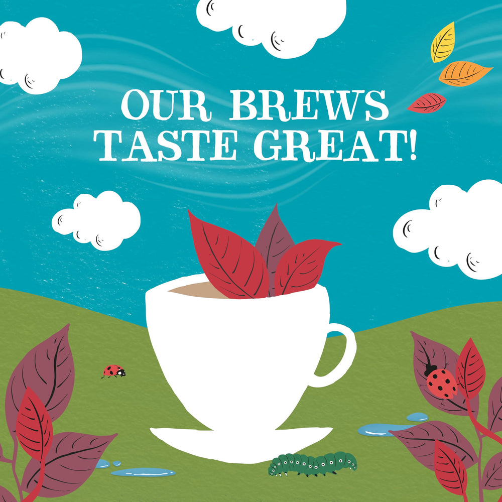 Clipper Tea morning routine steeping captures the ritual and warmth.