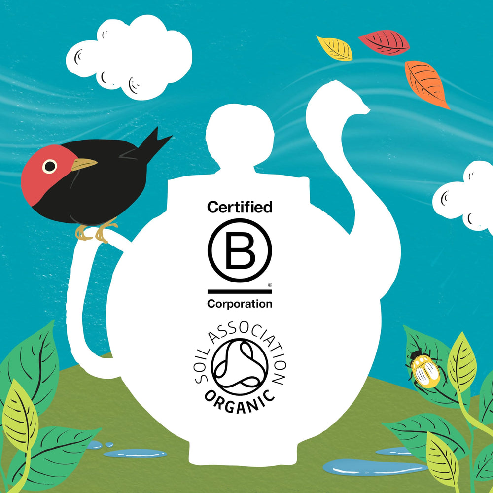 Brewing Clipper Tea Orange & Turmeric reveals plant-based aroma.