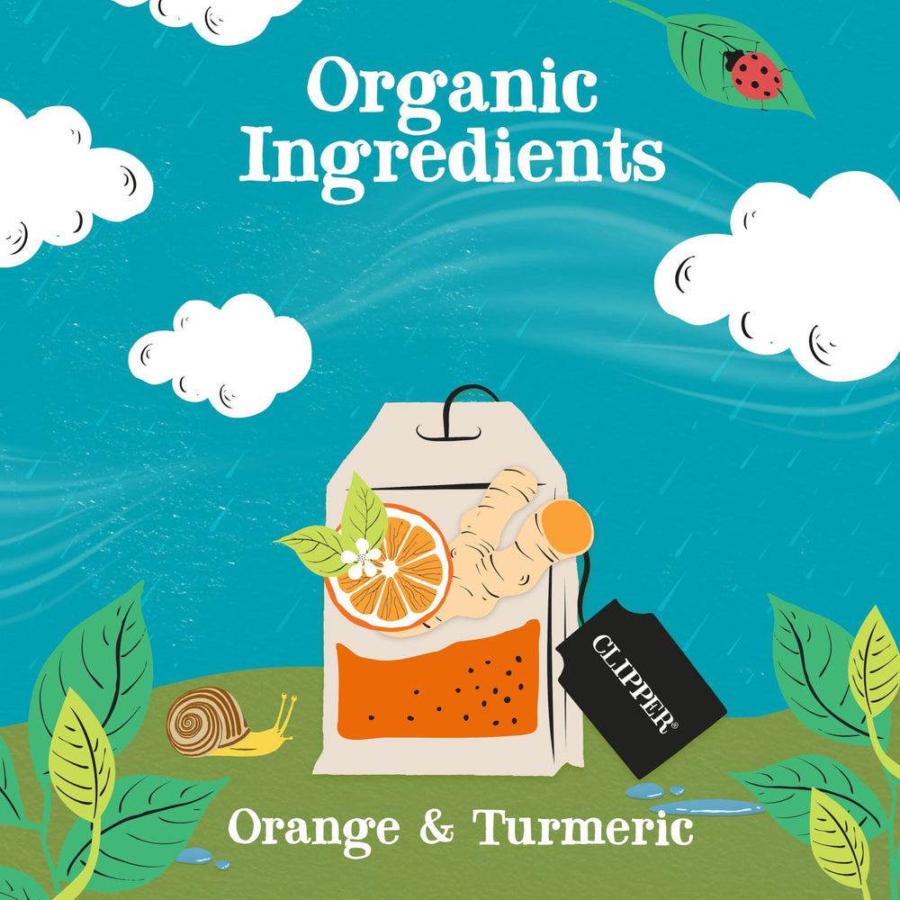 Close-up licorice root detail in Clipper Tea Orange & Turmeric.