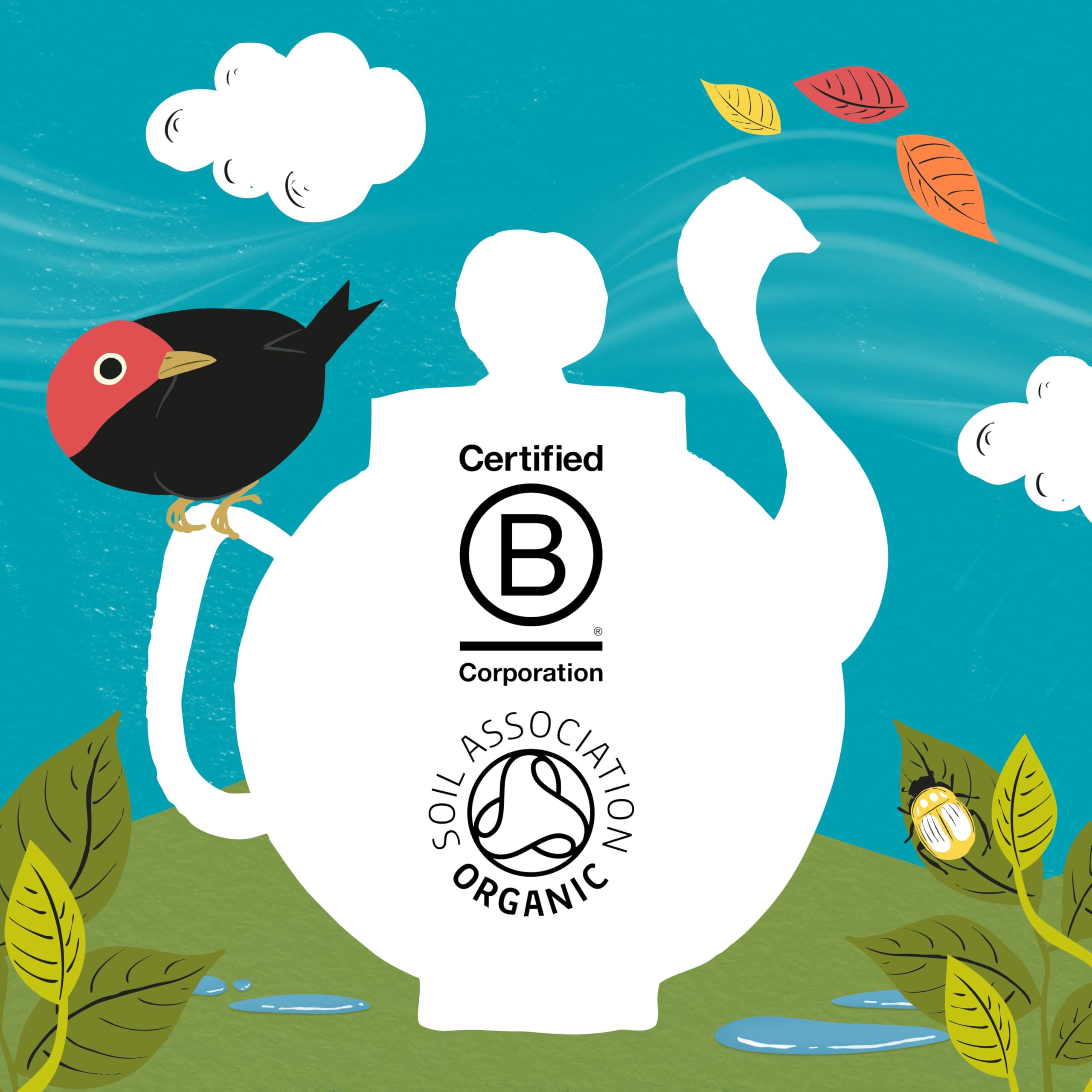 Clipper Tea Organic Fairtrade Everyday Fair Trade logo visible on packaging.