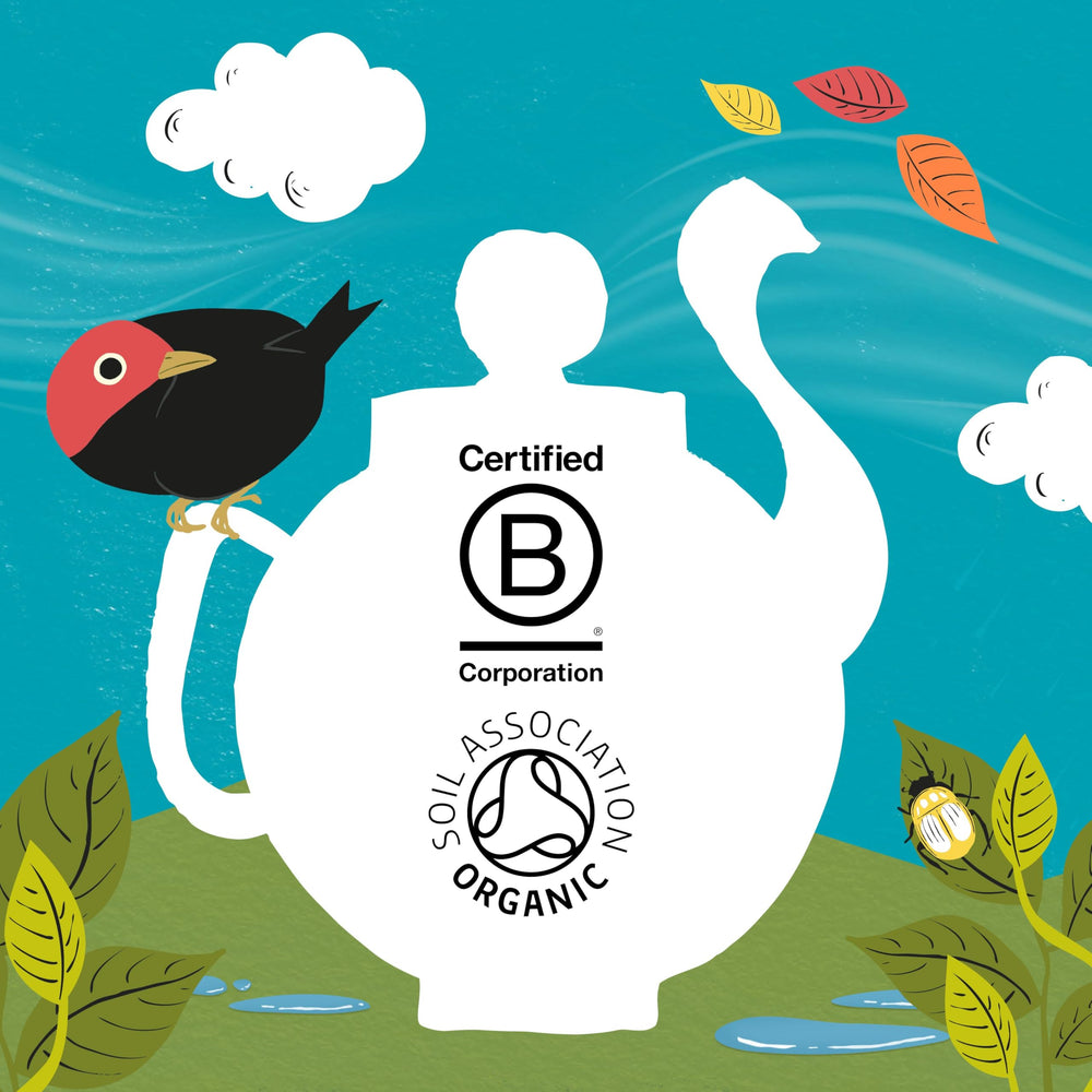 Clipper Tea Organic Fairtrade Everyday Fair Trade logo visible on packaging.