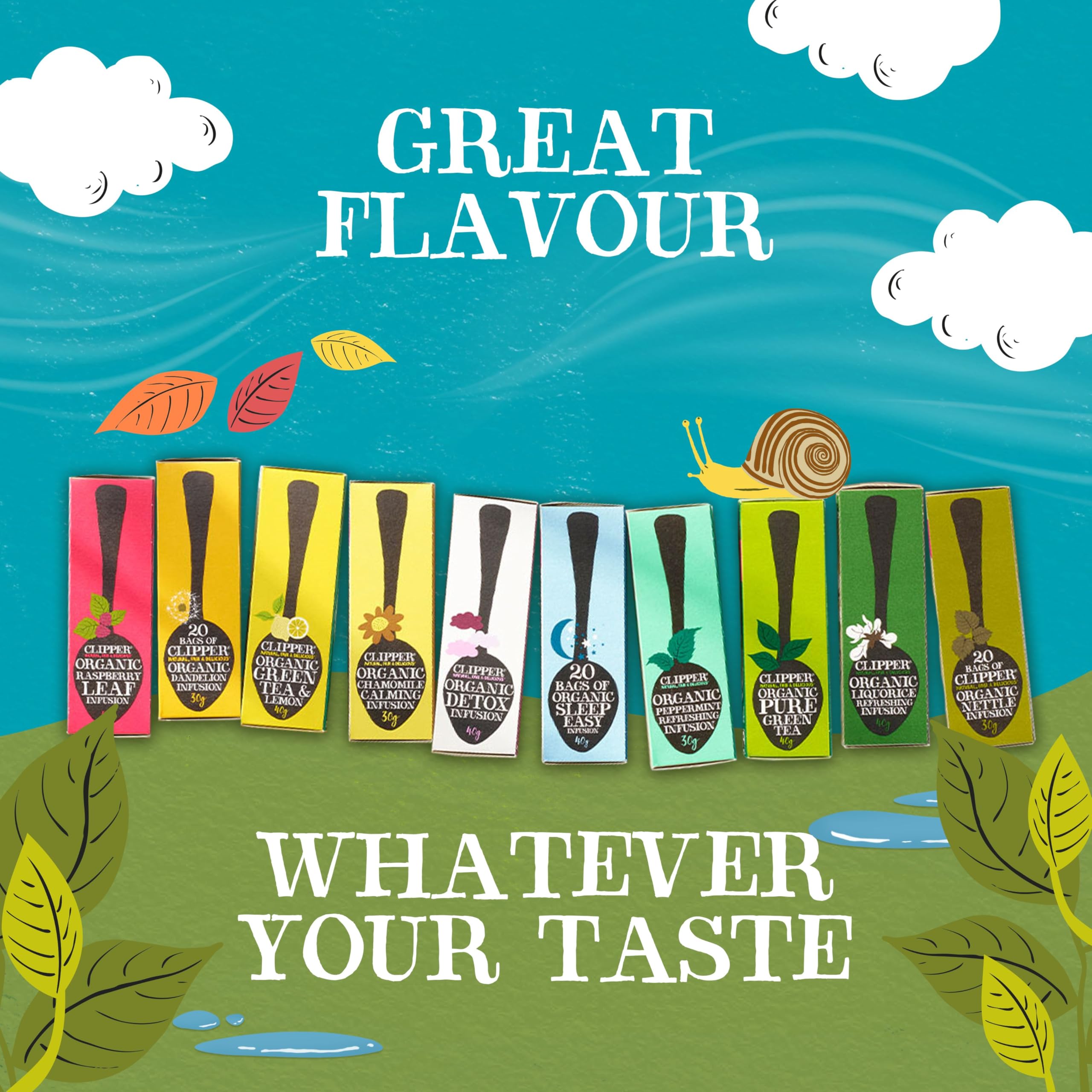 Clipper Tea Organic Fairtrade Everyday ingredient icons indicating organic and non-GMO values.
