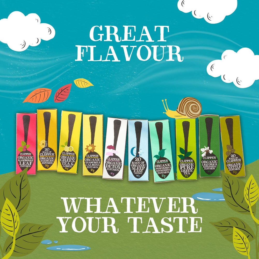 Clipper Tea Organic Fairtrade Everyday ingredient icons indicating organic and non-GMO values.