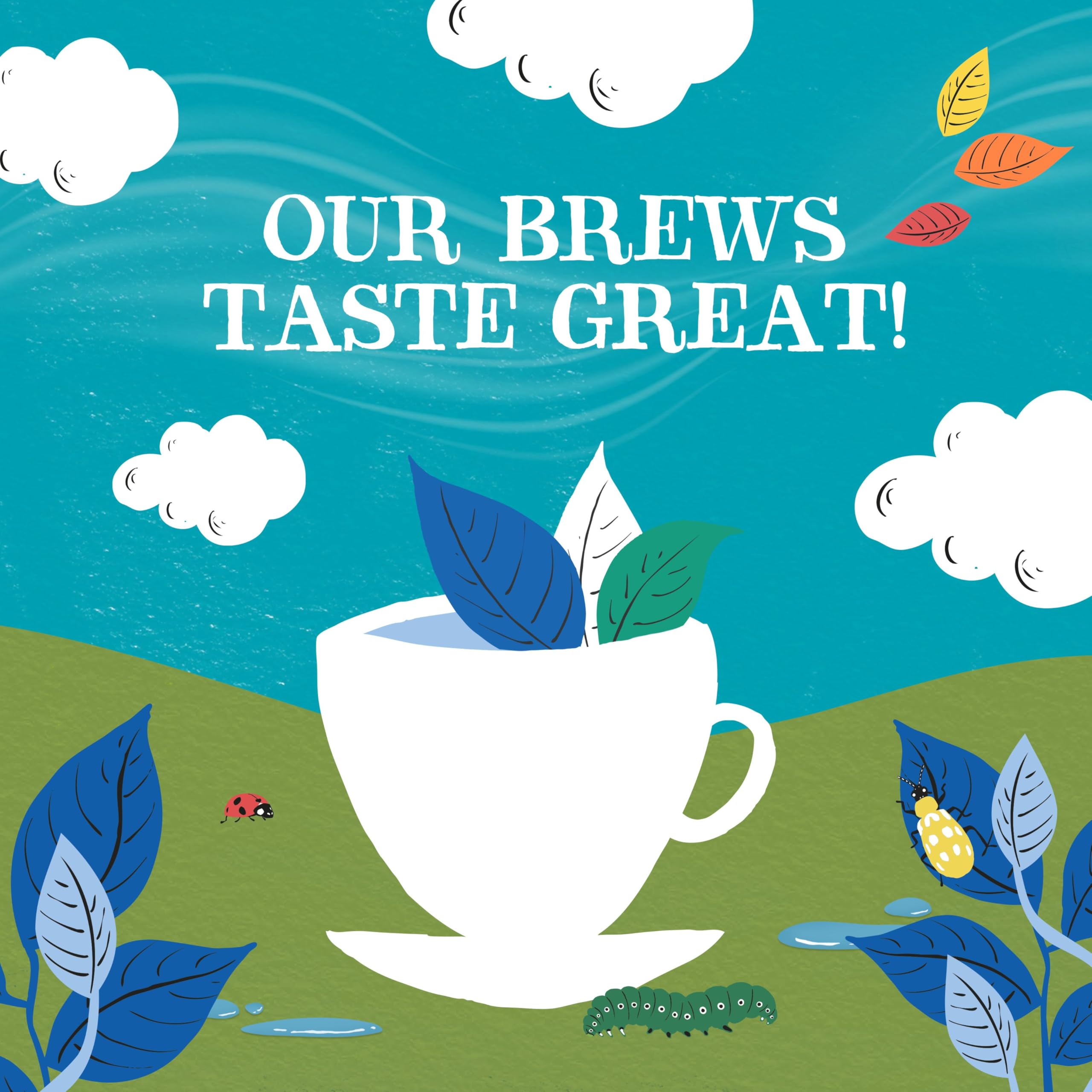 Unbleached tea bags from Clipper Tea in pack
