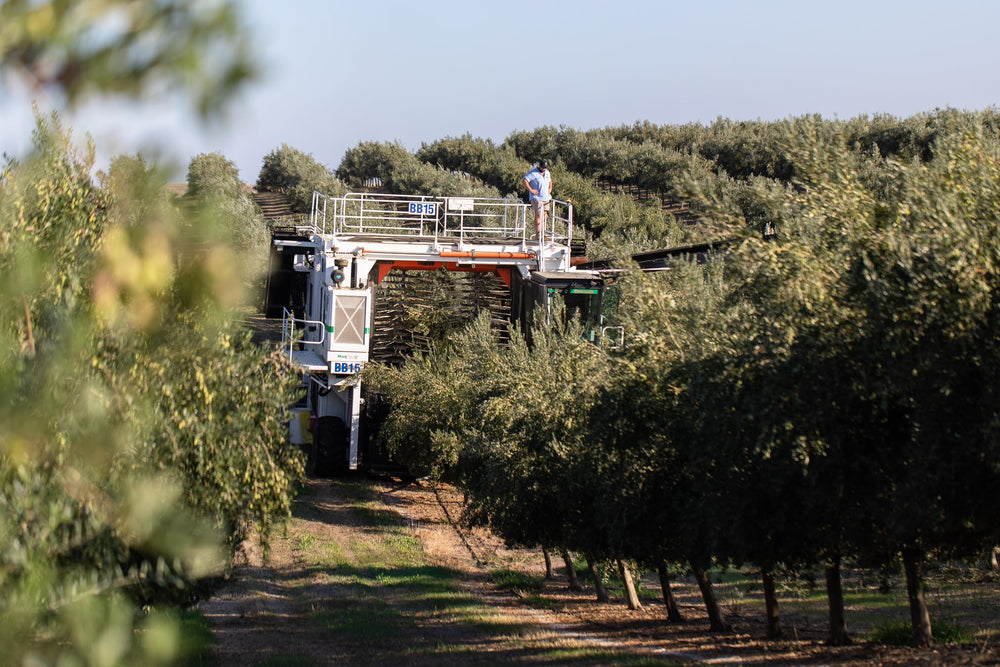 Cobram Estate packaging is gift-ready