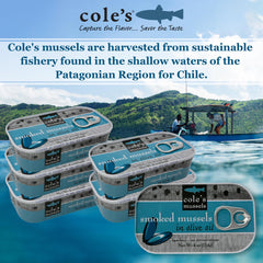 Cole's Patagonian smoked mussels in olive oil pack, convenient pantry staple