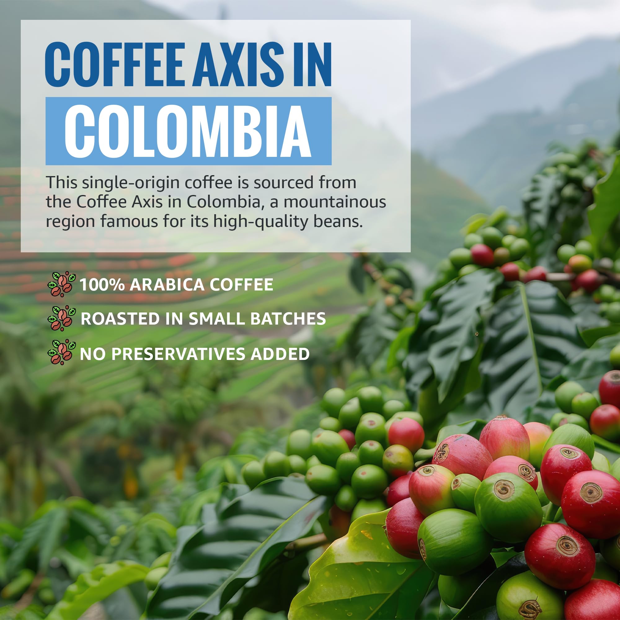COLIBRI COFFEE measured ground coffee for precise brewing