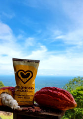 Colombian Cacao raw beans ground as a versatile base for recipes.