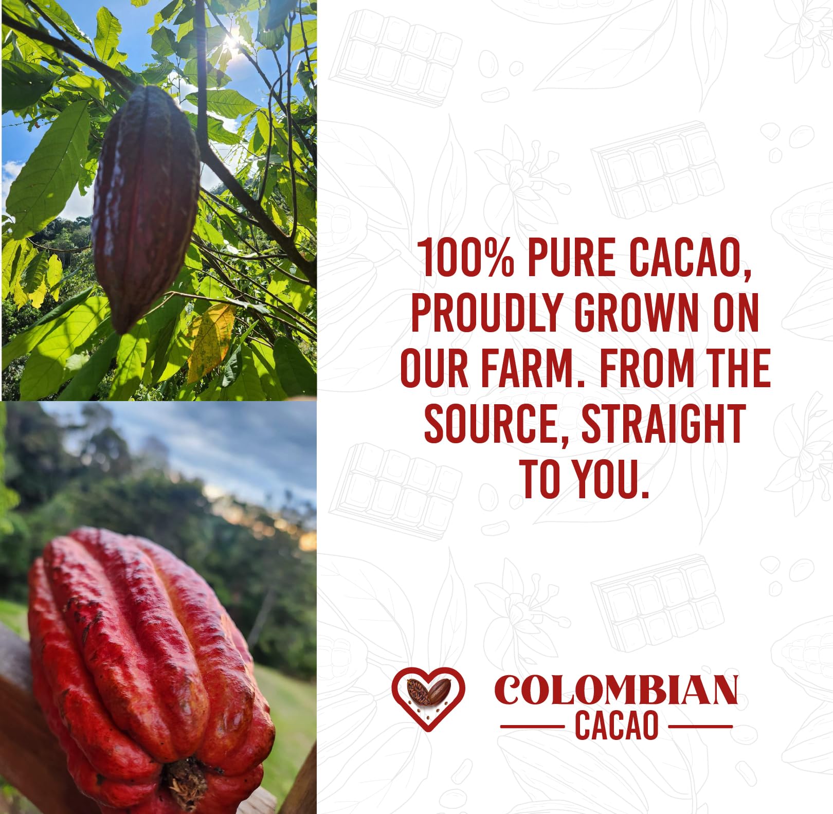 Colombian Cacao raw beans ready-to-use energy-boosting ingredient.