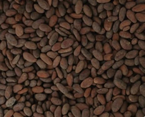 Colombian Cacao raw beans scoop for grinding at home.