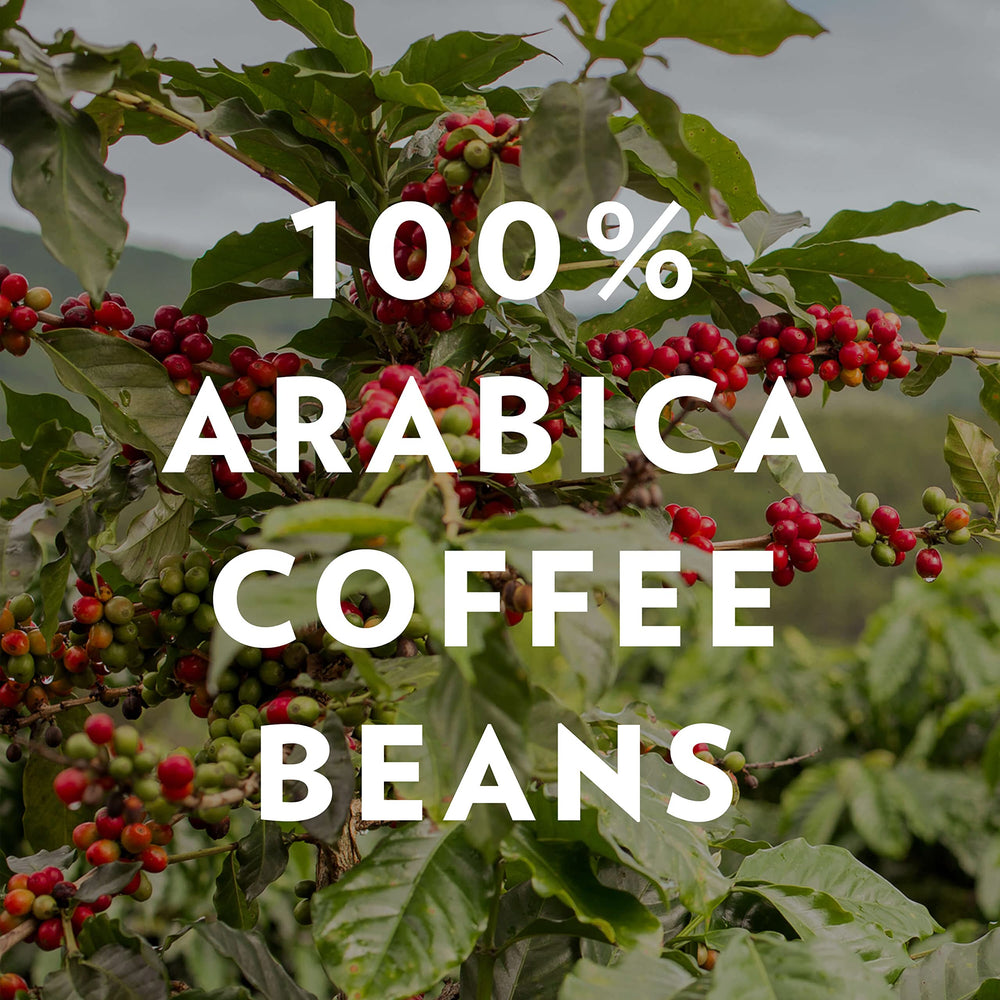 Community Coffee & Chicory roast profile medium-dark with full body and balanced brightness.