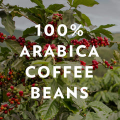 Drip coffee maker ready with Community Coffee chicory blend for easy mornings.
