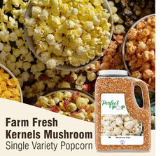 Concession Essentials extra-large-popcorn-kernels yield dramatic expansion on any popper