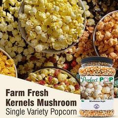 Concession Essentials kernels compatible with all poppers for versatile home or event use