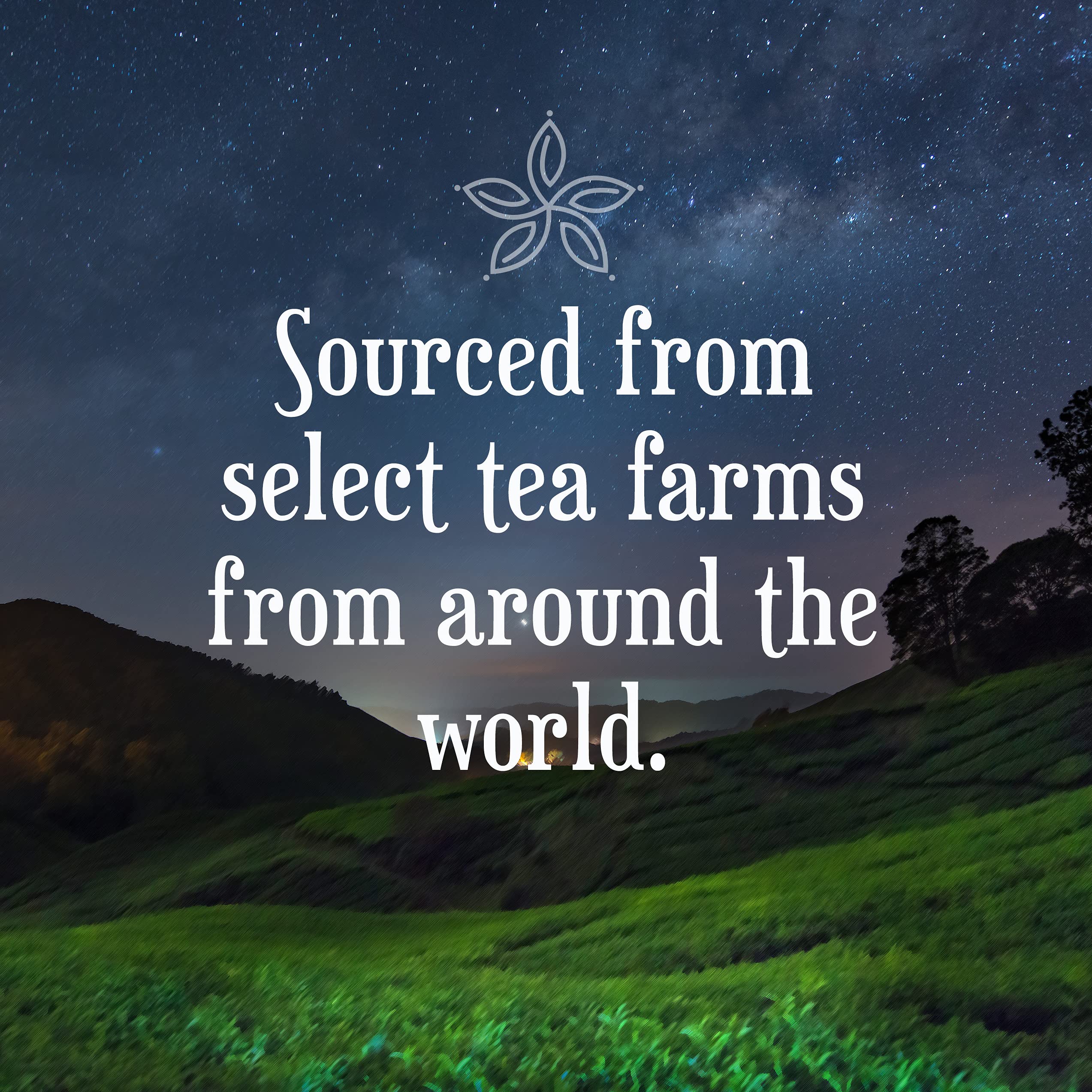 Constellation Tea compatible with K-Cup brewers for easy use.