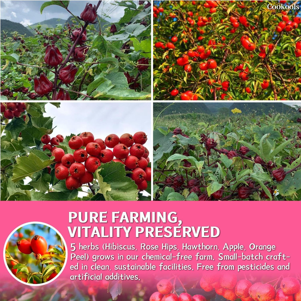 Cookools Hibiscus Rose Hips Tea hand-picked harvest highlights premium ingredients.