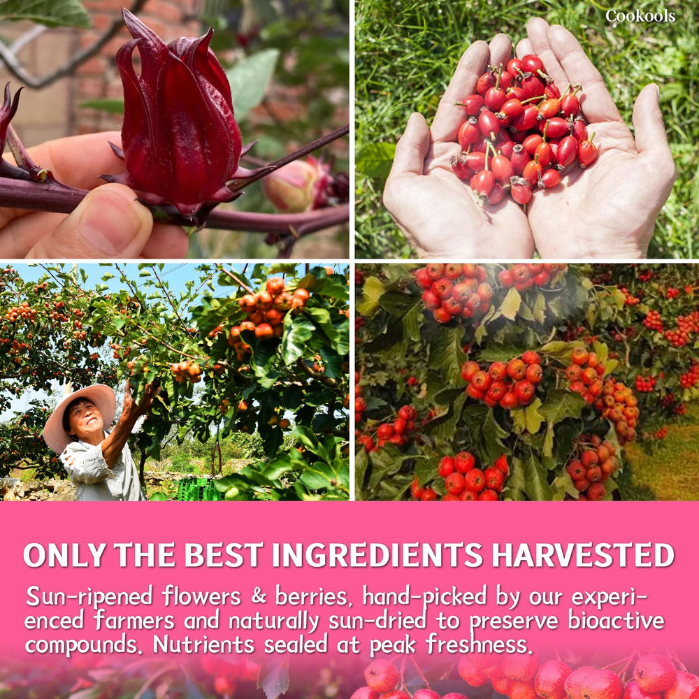Cookools Hibiscus Rose Hips Tea sun-dried leaves preserving nutrients and freshness.