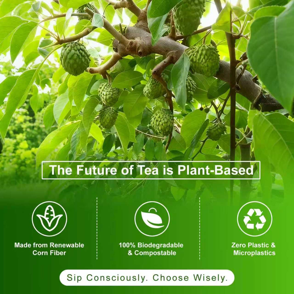 Cookools Soursop Leaf Tea creates a simple mindful sipping routine.