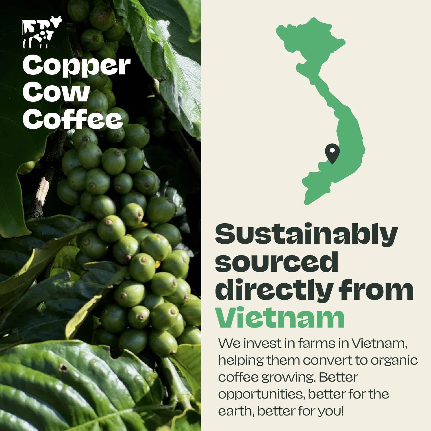 Copper Cow Coffee two 12 oz bags ready for everyday brewing.