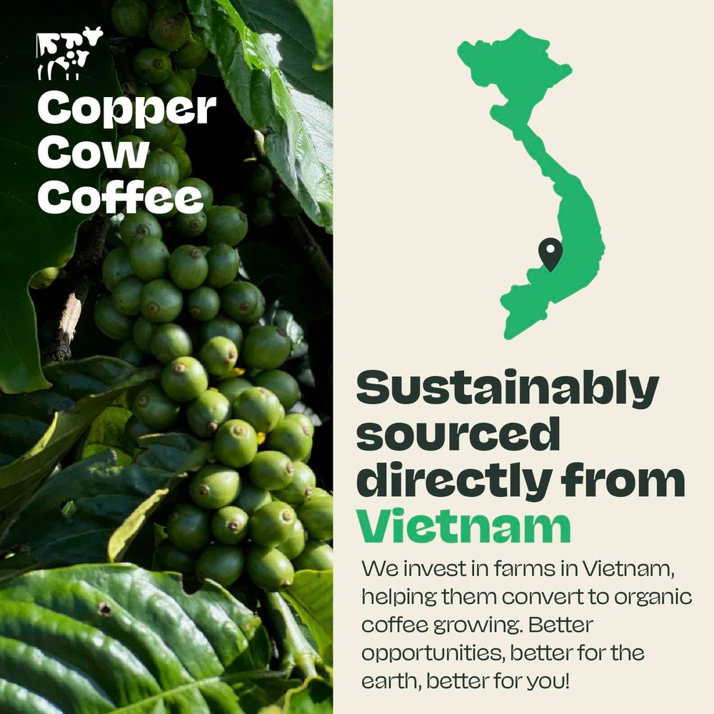Copper Cow Coffee two 12 oz bags ready for everyday brewing.