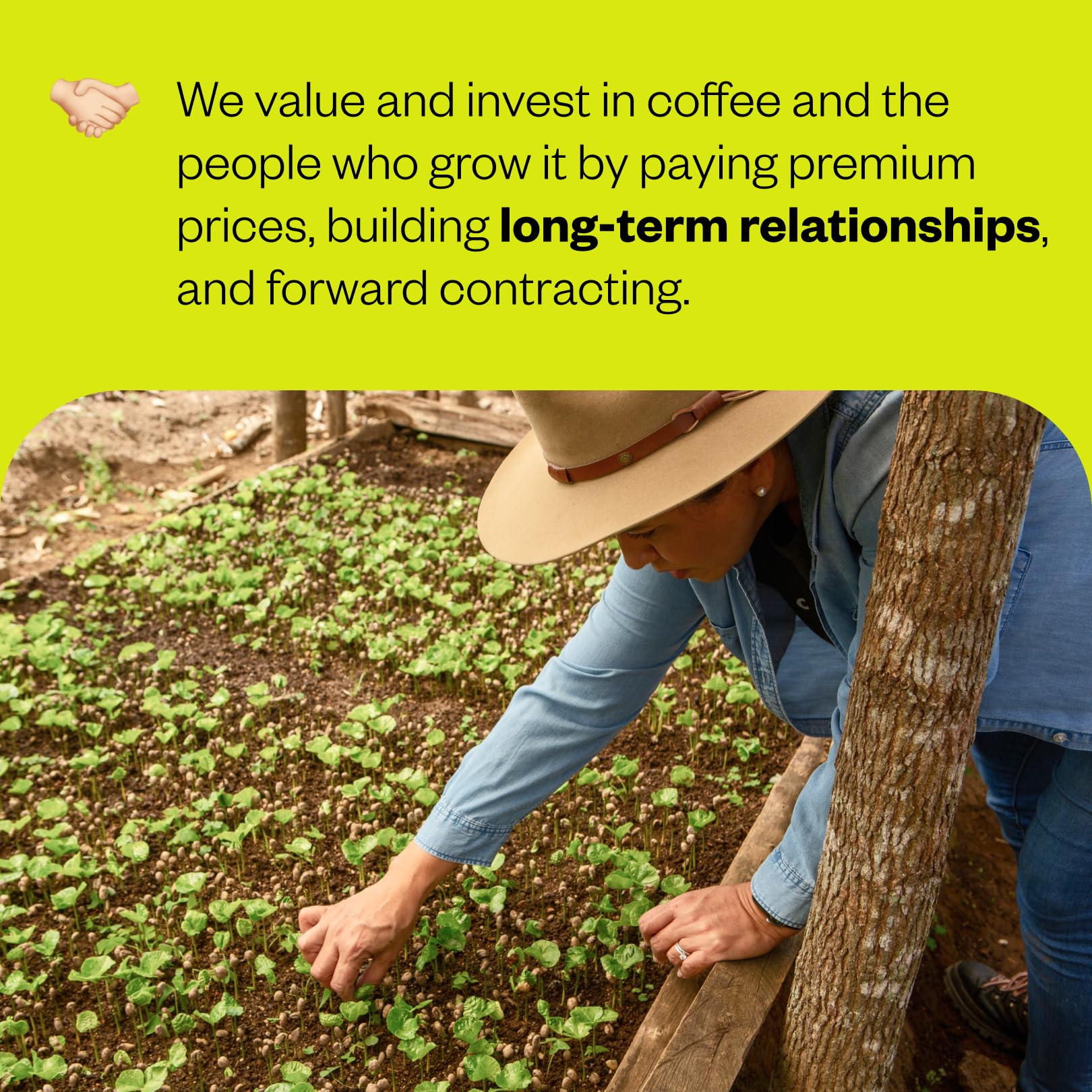 Counter Culture sustainable sourcing and transparency supporting responsible coffee practices.