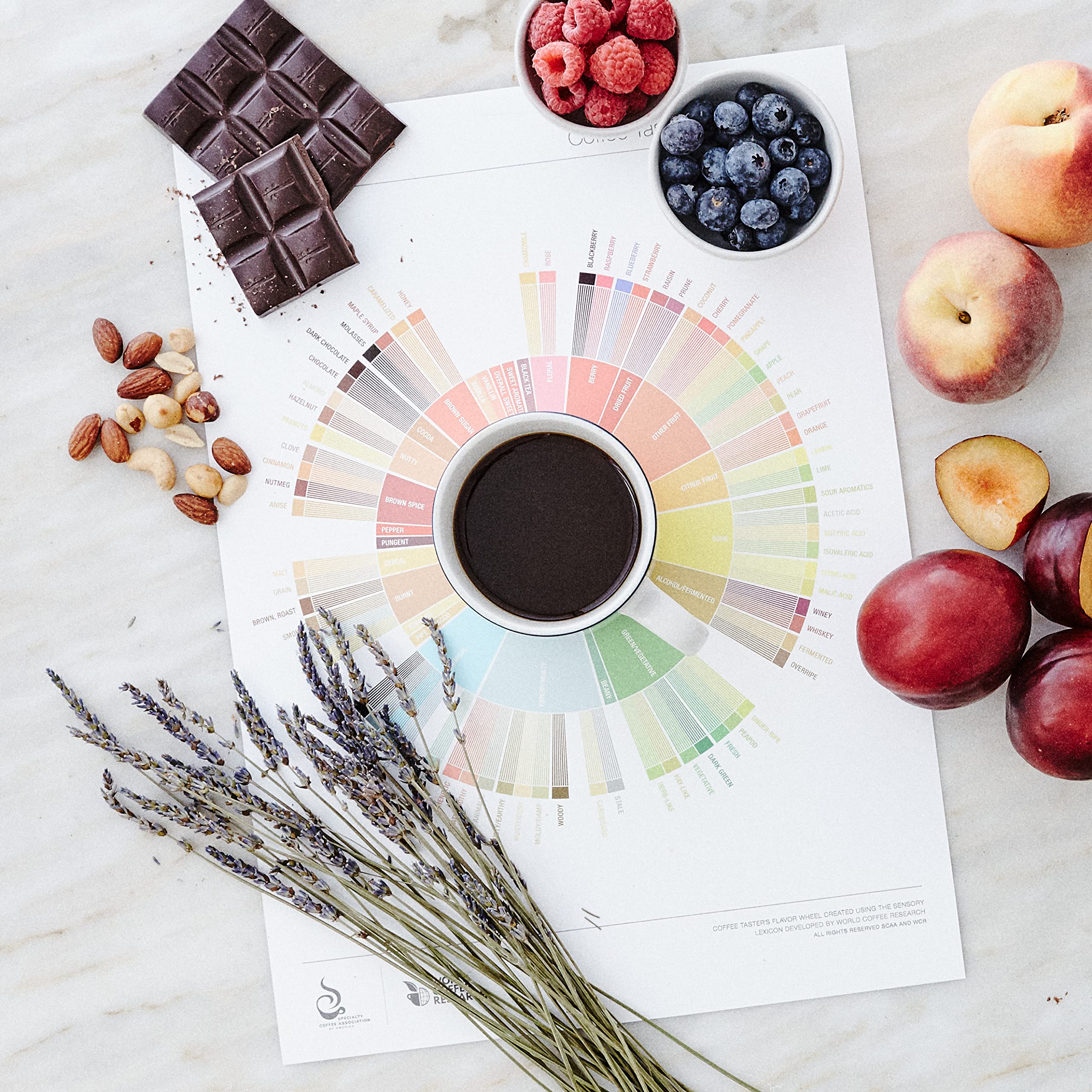 Cozy Up morning routine setup suggesting reliable daily coffee.