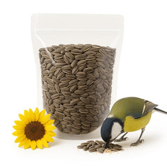 Crazy Nuts USA-grown sunflower seeds in shell ready for eating.