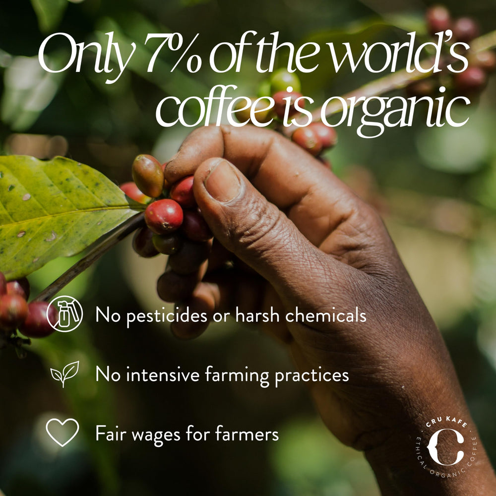 Cru Kafe CO2 decaffeination illustration shows solvent-free processing