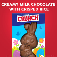 Crunch Solid Milk Chocolate Bunny 4-5oz size ideal for baskets and displays.