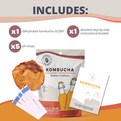 Cultures For Health self-propagating SCOBY enabling unlimited kombucha batches